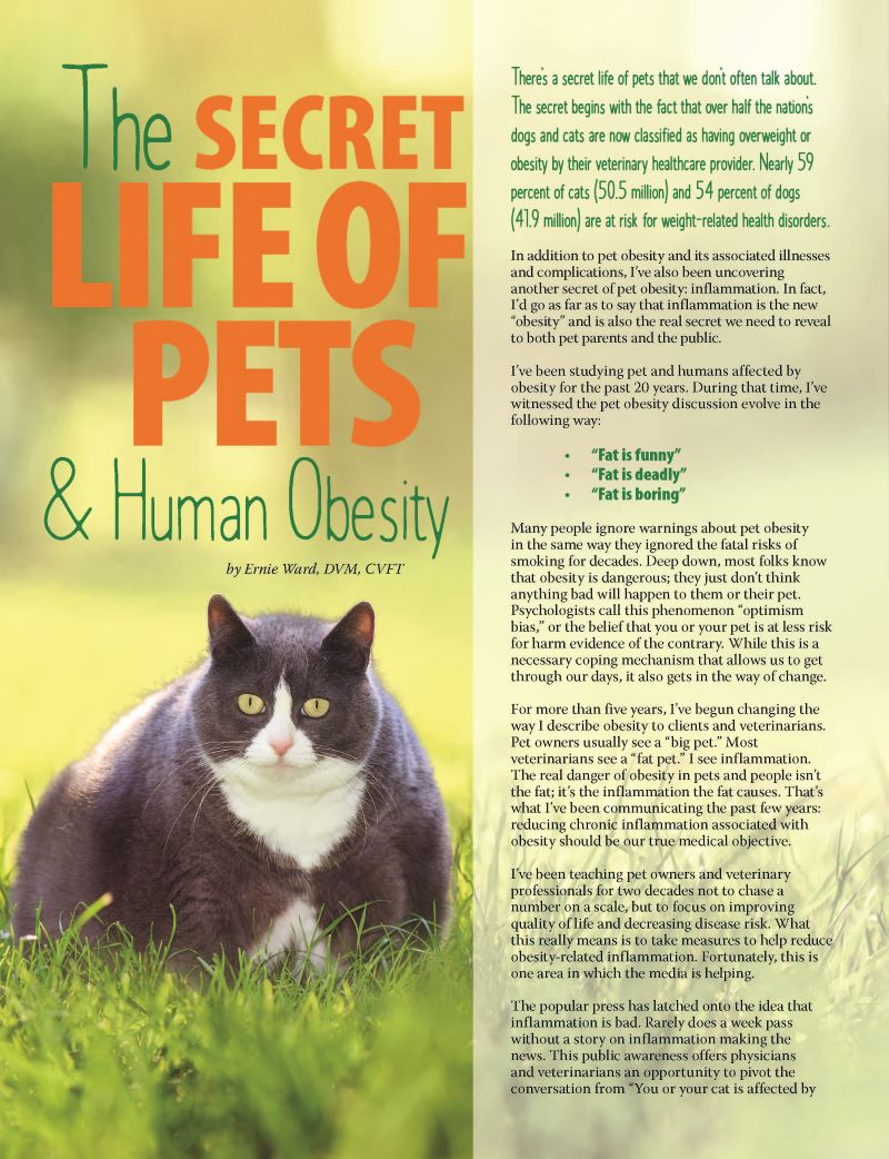 The Secret Life of Pets and Human Obesity - Obesity Action Coalition
