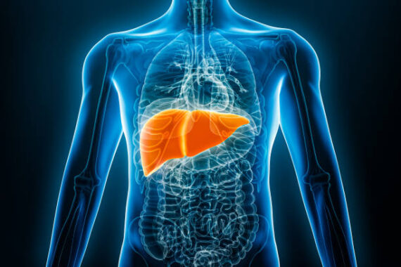 Xray image of liver